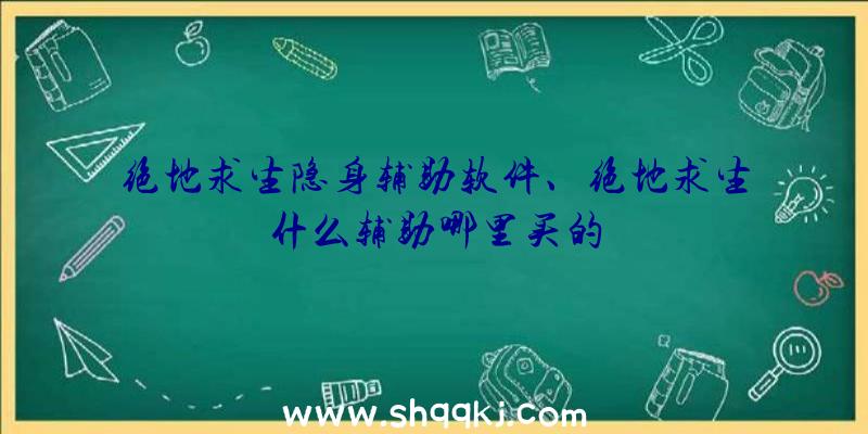 绝地求生隐身辅助软件、绝地求生什么辅助哪里买的