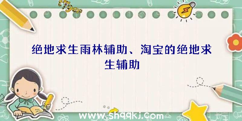 绝地求生雨林辅助、淘宝的绝地求生辅助