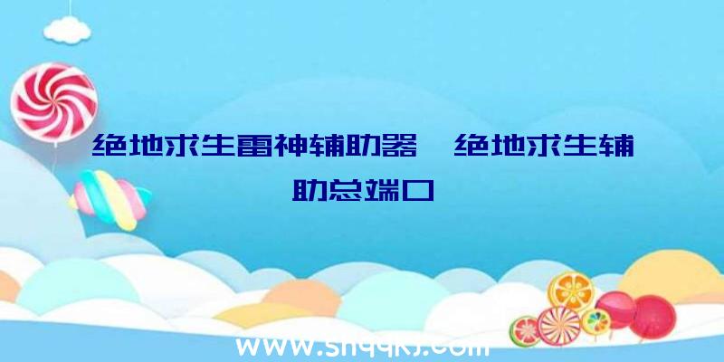 绝地求生雷神辅助器、绝地求生辅助总端口