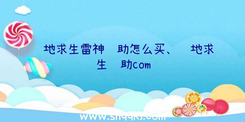 绝地求生雷神辅助怎么买、绝地求生辅助com