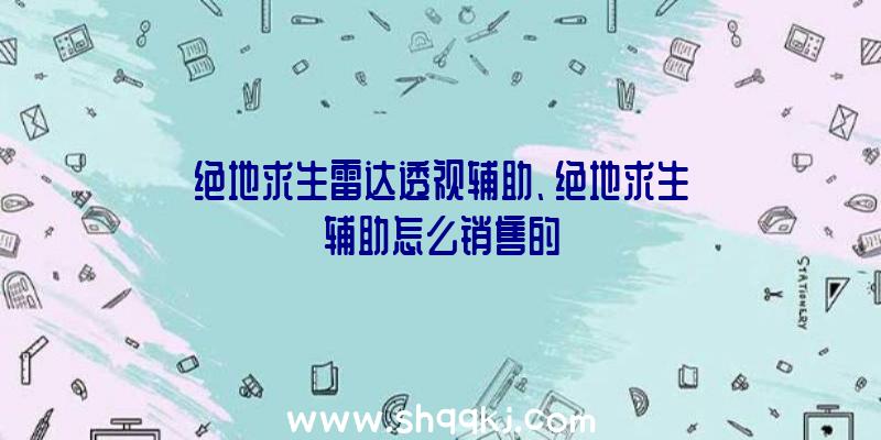 绝地求生雷达透视辅助、绝地求生辅助怎么销售的