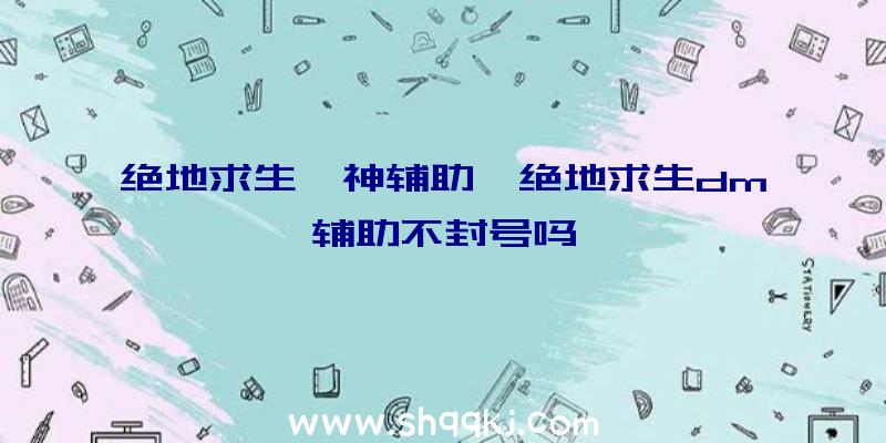 绝地求生韦神辅助、绝地求生dm辅助不封号吗