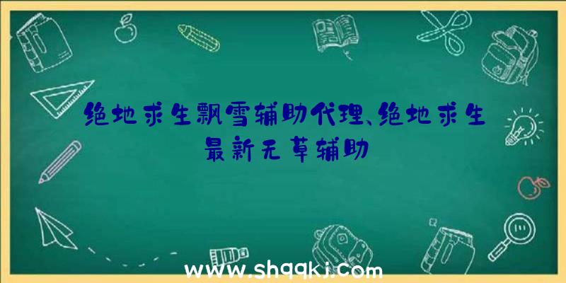 绝地求生飘雪辅助代理、绝地求生最新无草辅助