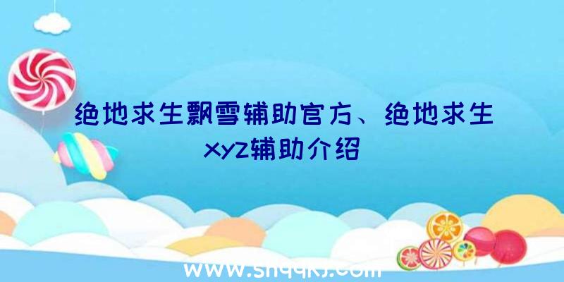 绝地求生飘雪辅助官方、绝地求生xyz辅助介绍