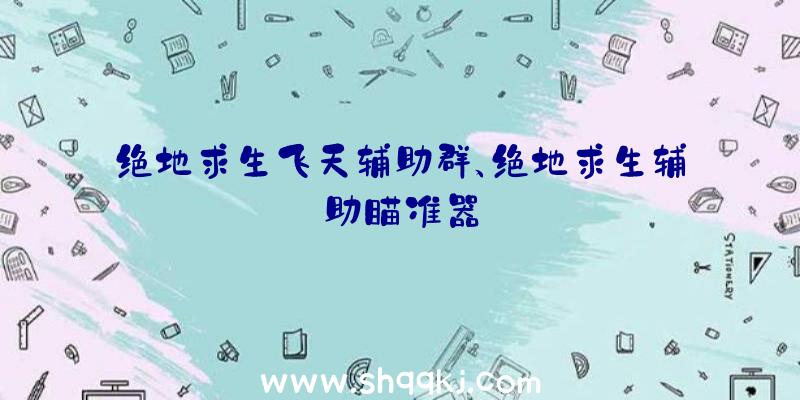 绝地求生飞天辅助群、绝地求生辅助瞄准器