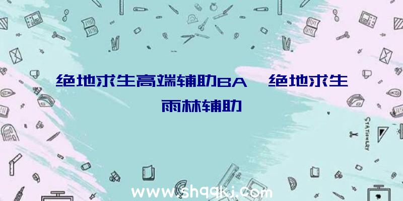 绝地求生高端辅助BA、绝地求生雨林辅助