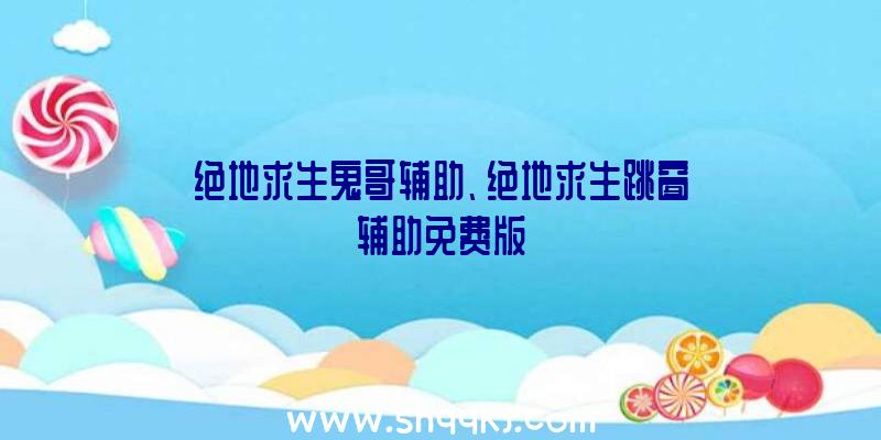 绝地求生鬼哥辅助、绝地求生跳窗辅助免费版