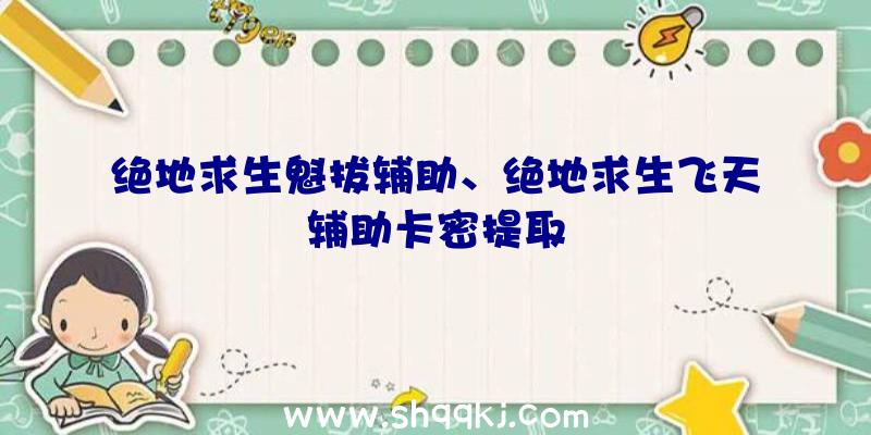 绝地求生魁拔辅助、绝地求生飞天辅助卡密提取