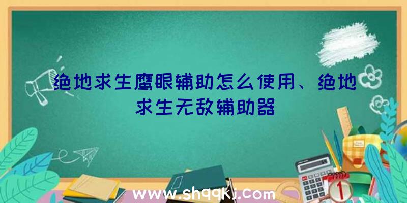 绝地求生鹰眼辅助怎么使用、绝地求生无敌辅助器