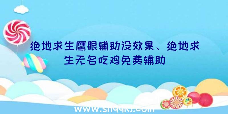 绝地求生鹰眼辅助没效果、绝地求生无名吃鸡免费辅助