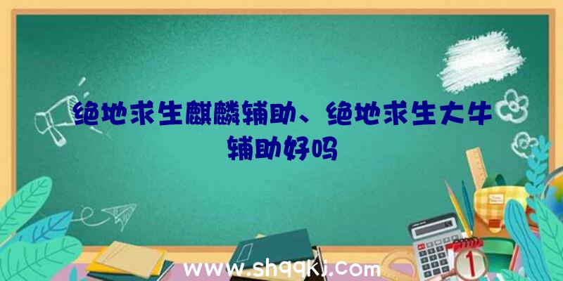 绝地求生麒麟辅助、绝地求生大牛辅助好吗