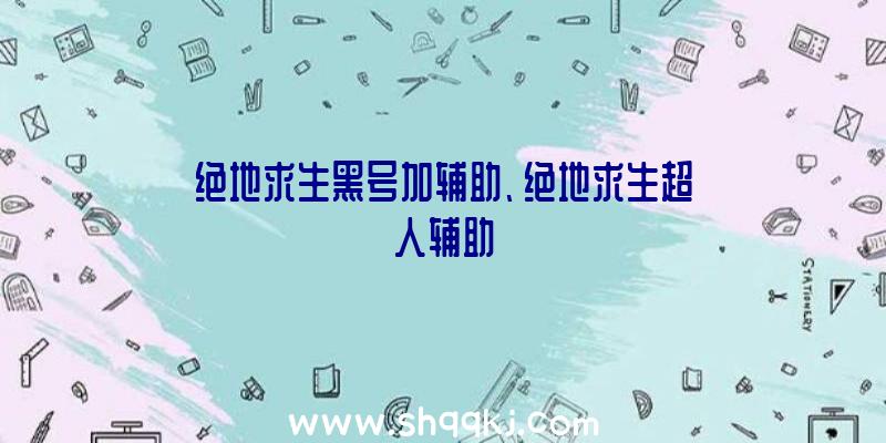 绝地求生黑号加辅助、绝地求生超人辅助