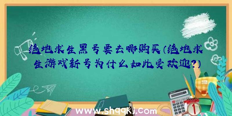 绝地求生黑号要去哪购买（绝地求生游戏新号为什么如此受欢迎？）