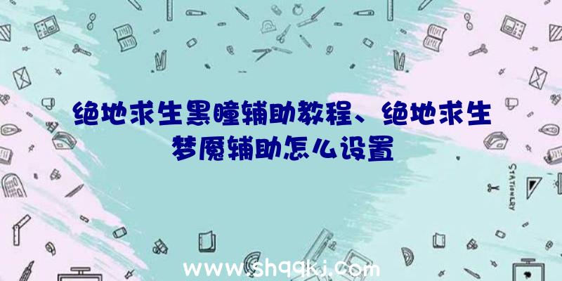 绝地求生黑瞳辅助教程、绝地求生梦魇辅助怎么设置