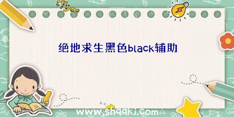 绝地求生黑色black辅助