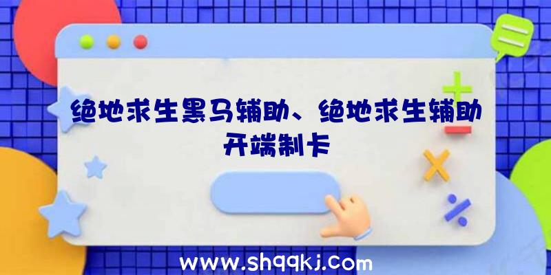 绝地求生黑马辅助、绝地求生辅助开端制卡