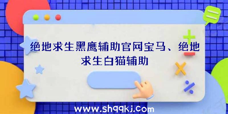 绝地求生黑鹰辅助官网宝马、绝地求生白猫辅助