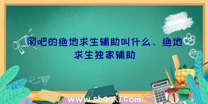 网吧的绝地求生辅助叫什么、绝地求生独家辅助