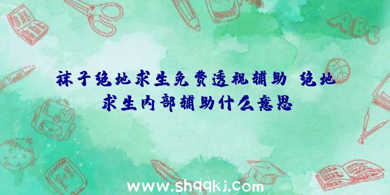 袜子绝地求生免费透视辅助、绝地求生内部辅助什么意思