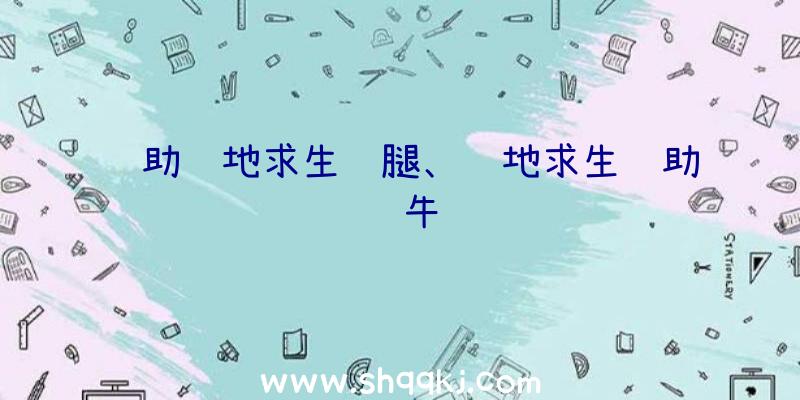 辅助绝地求生鸡腿、绝地求生辅助红牛