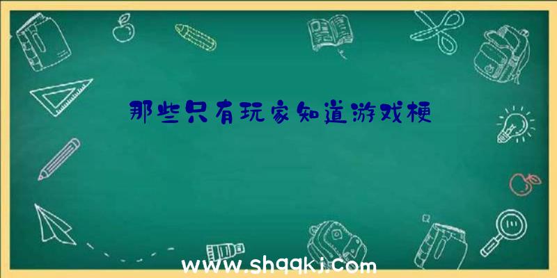 那些只有玩家知道游戏梗