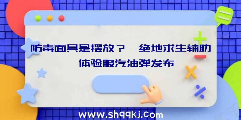 防毒面具是摆放？《绝地求生辅助》体验服汽油弹发布