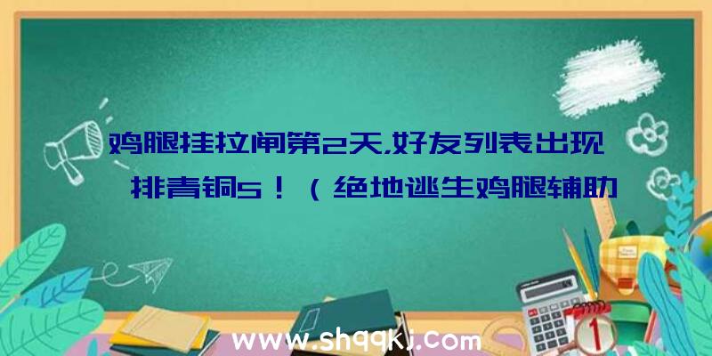 鸡腿挂拉闸第2天，好友列表出现一排青铜5！（绝地逃生鸡腿辅助断电第二天,游戏玩家呈现朋友目录,一整排线下）