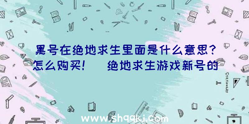 黑号在绝地求生里面是什么意思？怎么购买！（绝地求生游戏新号的种类和什么时候该选购什么账户）