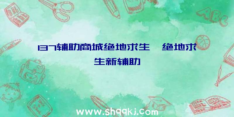 137辅助商城绝地求生、绝地求生新辅助