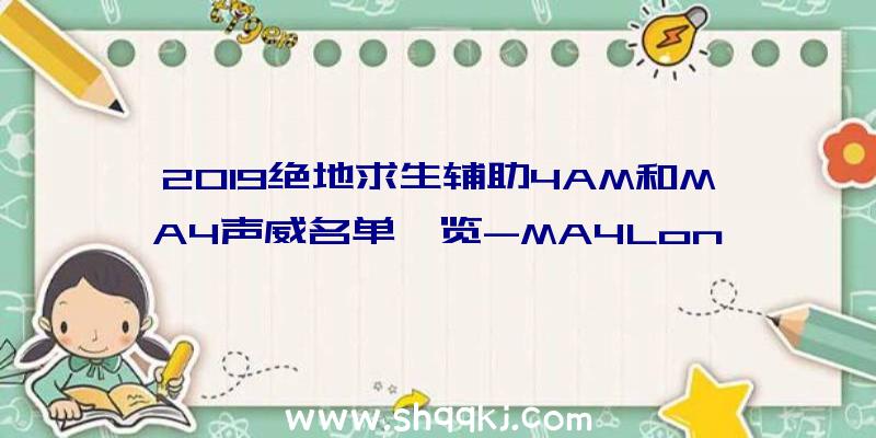 2019绝地求生辅助4AM和MA4声威名单一览-MA4Long成饮水机办理员