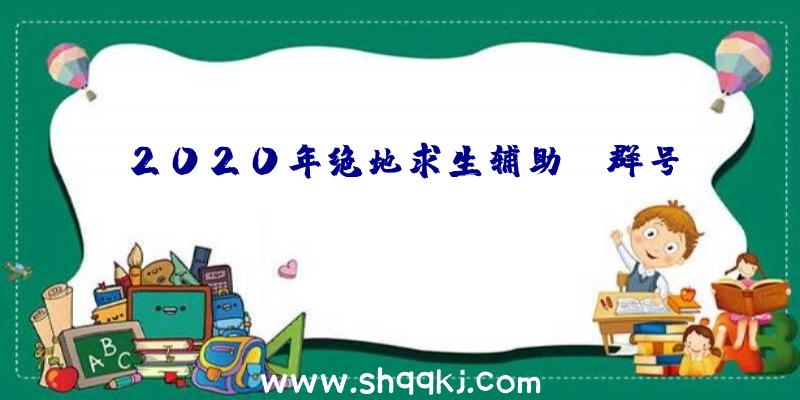 2020年绝地求生辅助qq群号