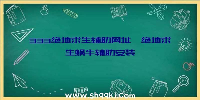 333绝地求生辅助网址、绝地求生蜗牛辅助安装