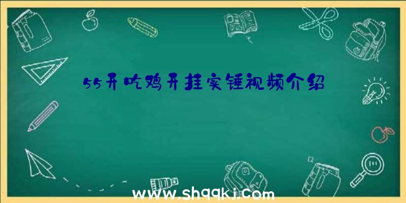 55开吃鸡开挂实锤视频介绍