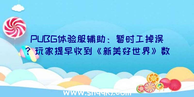 PUBG体验服辅助：暂时工掉误？玩家提早收到《新美好世界》数字版下载码