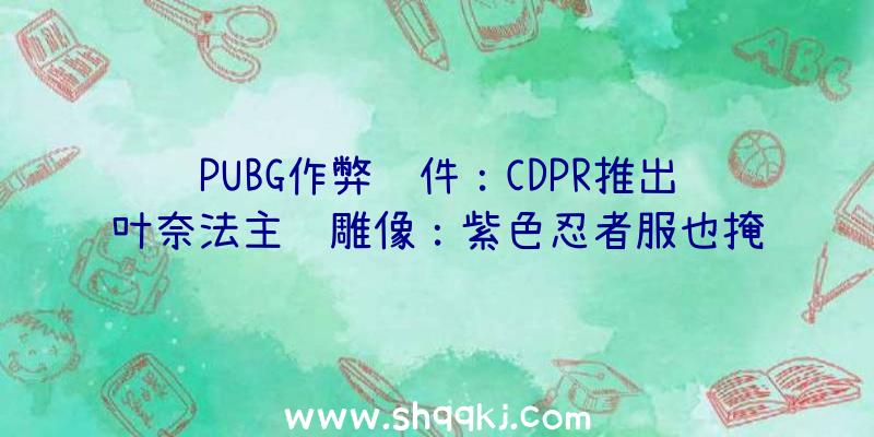 PUBG作弊软件：CDPR推出叶奈法主题雕像：紫色忍者服也掩饰不了的傲人身体