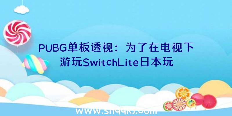 PUBG单板透视：为了在电视下游玩SwitchLite日本玩家整出爆笑“阳间操作”