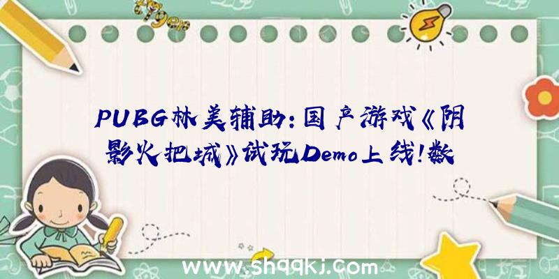 PUBG林美辅助：国产游戏《阴影火把城》试玩Demo上线!数字版及实体版方案9月7日推出