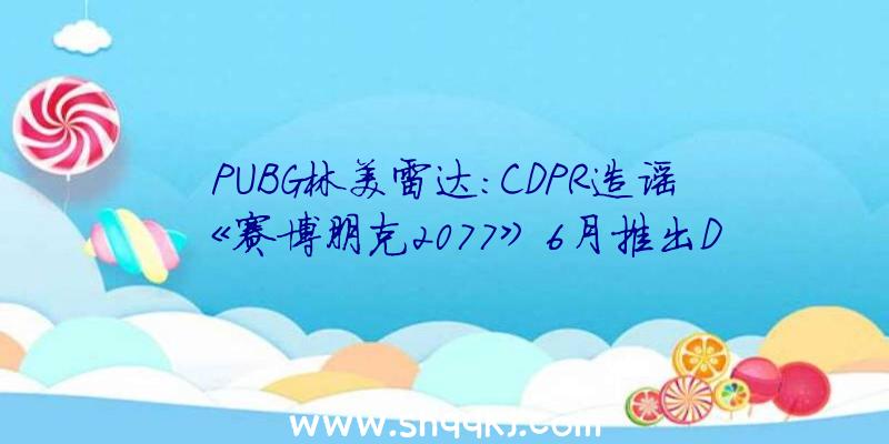 PUBG林美雷达：CDPR造谣《赛博朋克2077》6月推出DLC传言是不准确的