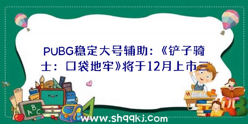 PUBG稳定大号辅助：《铲子骑士：口袋地牢》将于12月上市三款DLC扩大内容将于12月地下