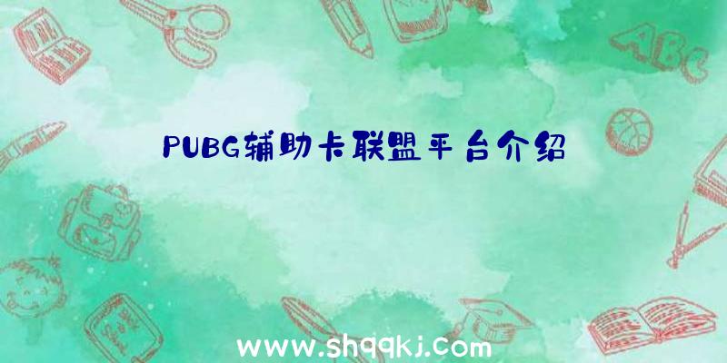 PUBG辅助卡联盟平台介绍