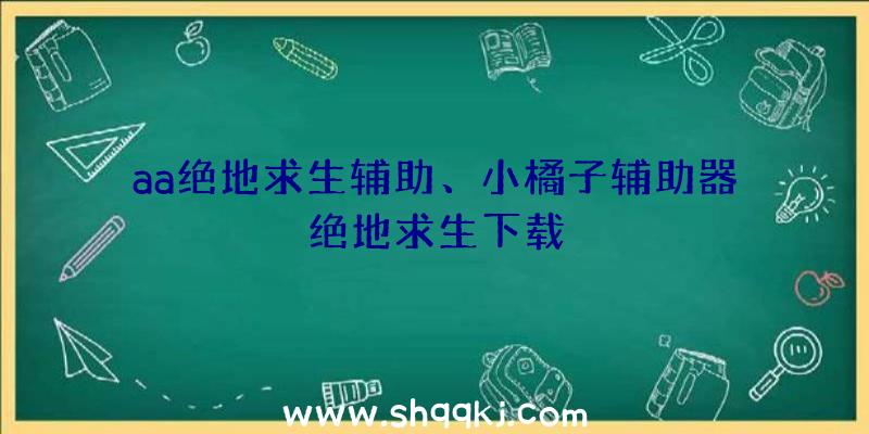 aa绝地求生辅助、小橘子辅助器绝地求生下载