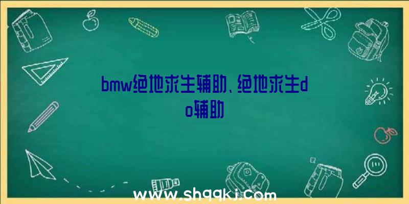 bmw绝地求生辅助、绝地求生do辅助