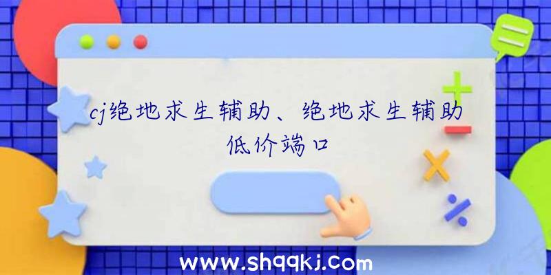 cj绝地求生辅助、绝地求生辅助低价端口