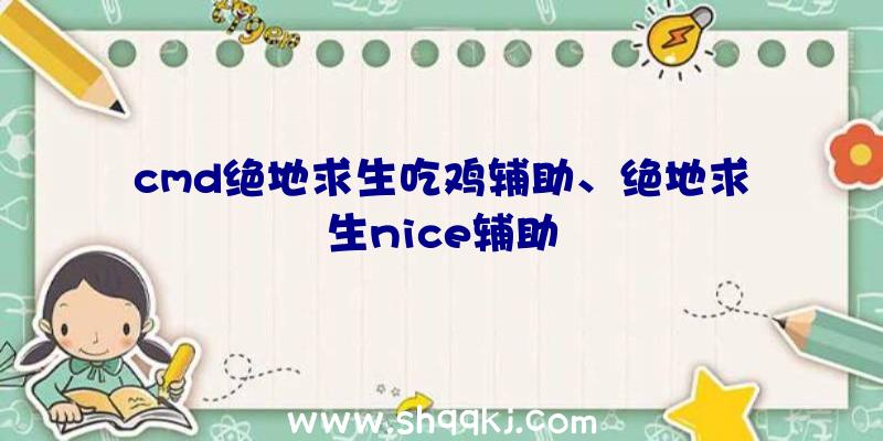 cmd绝地求生吃鸡辅助、绝地求生nice辅助