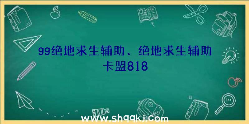 gg绝地求生辅助、绝地求生辅助卡盟818