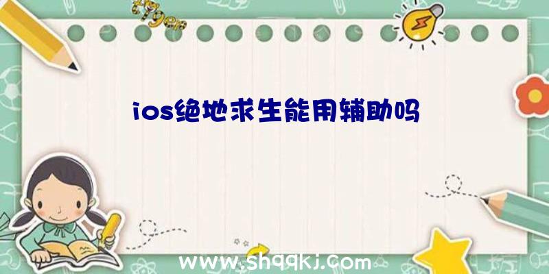 ios绝地求生能用辅助吗