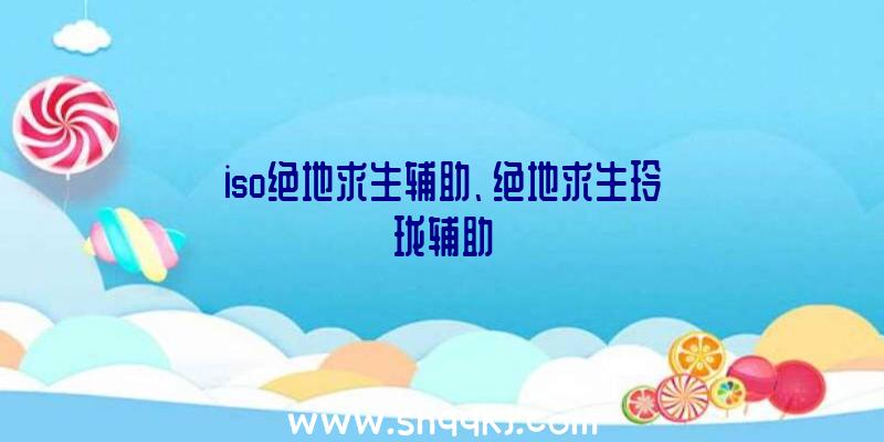 iso绝地求生辅助、绝地求生玲珑辅助