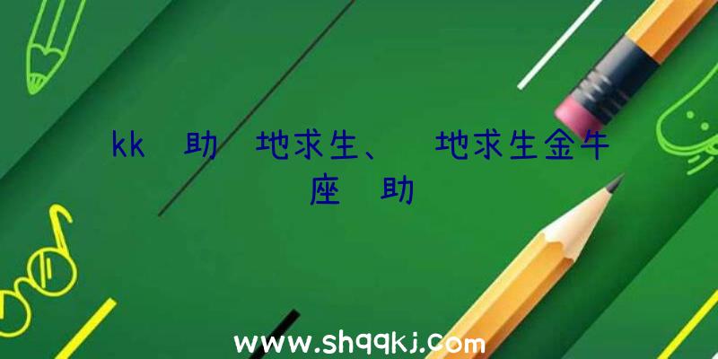 kk辅助绝地求生、绝地求生金牛座辅助