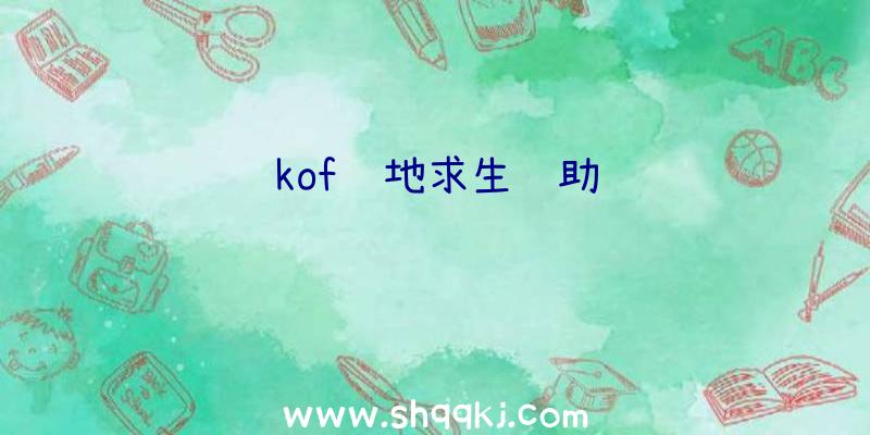 kof绝地求生辅助