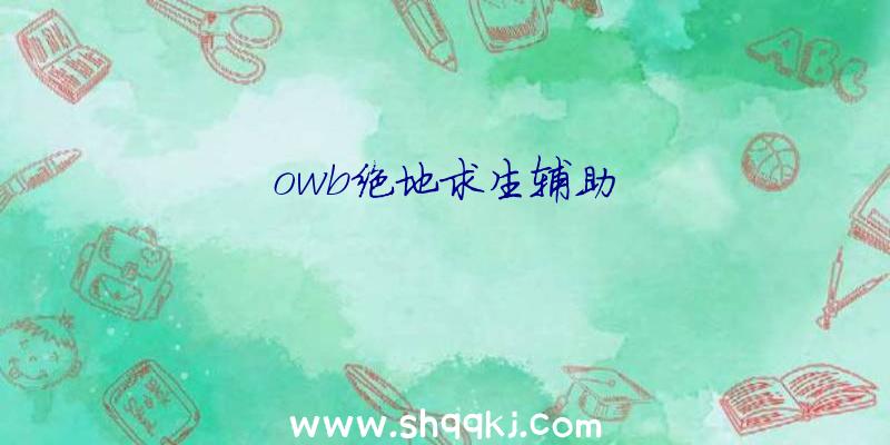 owb绝地求生辅助